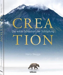 Abbildung von Skeggs | Creation | 1. Auflage | 2024 | beck-shop.de