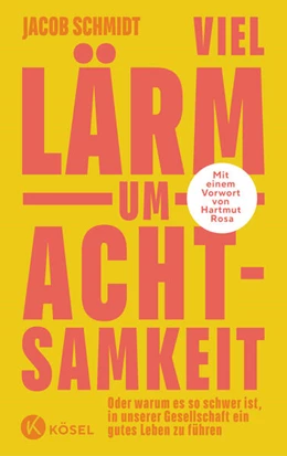 Abbildung von Schmidt | Viel Lärm um Achtsamkeit | 1. Auflage | 2024 | beck-shop.de