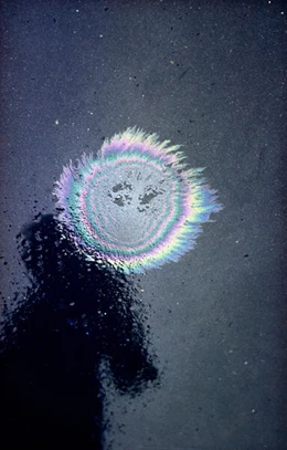 Abbildung von Campany | Ernst Haas: Abstract | 1. Auflage | 2024 | beck-shop.de