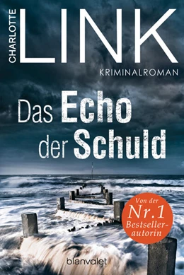 Abbildung von Link | Das Echo der Schuld | 1. Auflage | 2024 | beck-shop.de