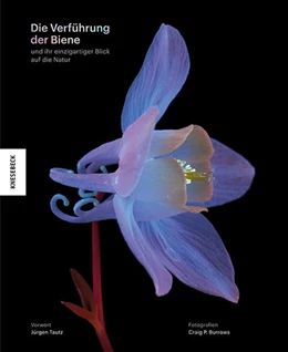 Abbildung von Burrows | Die Verführung der Biene | 1. Auflage | 2024 | beck-shop.de