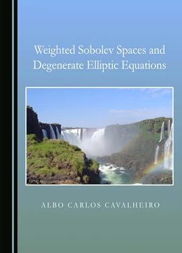 Abbildung von Cavalheiro | Weighted Sobolev Spaces and Degenerate Elliptic Equations | 1. Auflage | 2023 | beck-shop.de