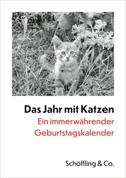 Abbildung von Bachstein | Das Jahr mit Katzen | 1. Auflage | 2024 | beck-shop.de