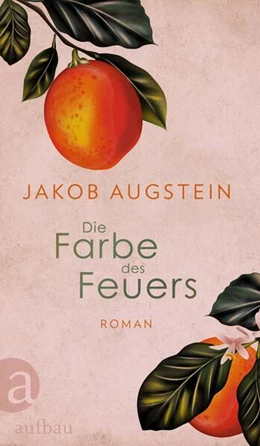 Abbildung von Augstein | Die Farbe des Feuers | 1. Auflage | 2024 | beck-shop.de