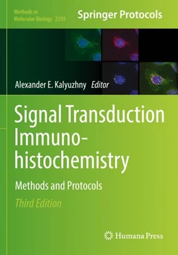 Abbildung von Kalyuzhny | Signal Transduction Immunohistochemistry | 3. Auflage | 2023 | 2593 | beck-shop.de