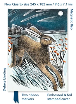 Abbildung von Angela Harding: Shooting Stars (Foiled Quarto Journal) | 1. Auflage | 2024 | beck-shop.de