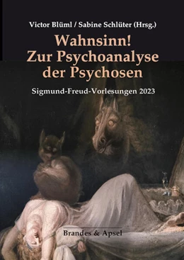 Abbildung von Blüml / Karacaoglan | Wahnsinn! Zur Psychoanalyse der Psychosen | 1. Auflage | 2024 | 4 | beck-shop.de