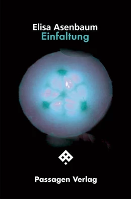 Abbildung von Asenbaum | Einfaltung | 1. Auflage | 2024 | beck-shop.de