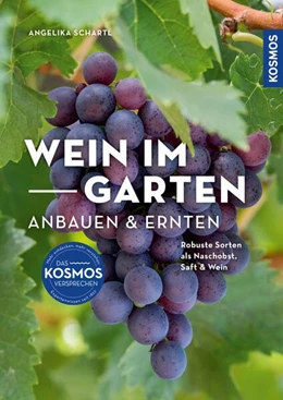 Abbildung von Schartl | Wein im Garten anbauen & ernten | 1. Auflage | 2024 | beck-shop.de