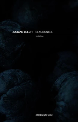 Abbildung von Blech | Blaudunkel | 1. Auflage | 2024 | beck-shop.de