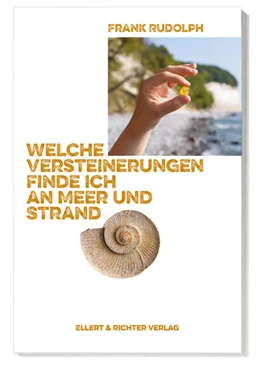 Abbildung von Rudolph | Welche Versteinerungen finde ich an Meer und Strand | 2. Auflage | 2025 | beck-shop.de