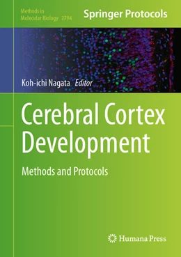 Abbildung von Nagata | Cerebral Cortex Development | 1. Auflage | 2024 | 2794 | beck-shop.de