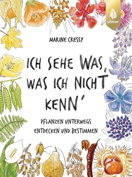 Abbildung von Cressy | Ich sehe was, was ich nicht kenn´ | 1. Auflage | 2024 | beck-shop.de