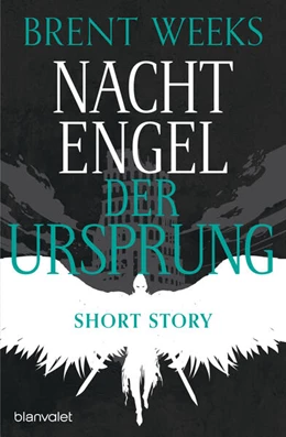 Abbildung von Weeks | Nachtengel - Der Ursprung | 1. Auflage | 2024 | beck-shop.de
