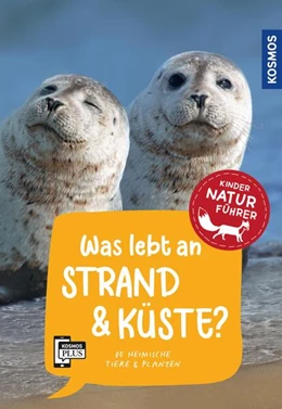 Abbildung von Haag | Was lebt an Strand und Küste? Kindernaturführer | 1. Auflage | 2024 | beck-shop.de