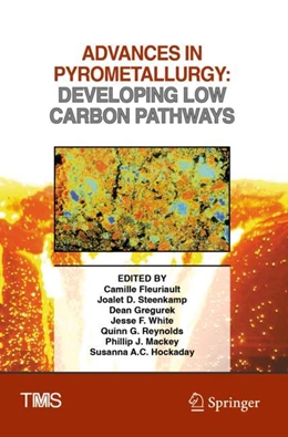 Abbildung von Fleuriault / Steenkamp | Advances in Pyrometallurgy | 1. Auflage | 2024 | beck-shop.de