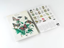 Abbildung von Roojen | Natural History | 1. Auflage | 2024 | beck-shop.de