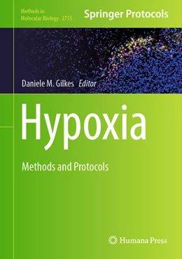 Abbildung von Gilkes | Hypoxia | 1. Auflage | 2024 | beck-shop.de
