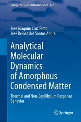 Abbildung von Costa Cruz Pinto / dos Santos André | Analytical Molecular Dynamics of Amorphous Condensed Matter | 1. Auflage | 2024 | 342 | beck-shop.de