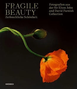 Abbildung von Forbes / Harbin | Fragile Beauty - zerbrechliche Schönheit | 1. Auflage | 2024 | beck-shop.de