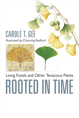 Abbildung von Gee | Rooted in Time | 1. Auflage | 2024 | beck-shop.de