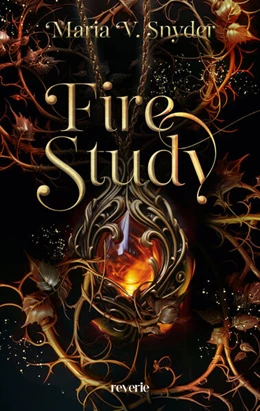 Abbildung von Snyder | Fire Study | 1. Auflage | 2024 | beck-shop.de