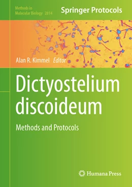Abbildung von Kimmel | Dictyostelium discoideum | 1. Auflage | 2024 | beck-shop.de