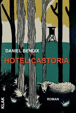 Abbildung von Bendix | Hotel Castoria | 1. Auflage | 2024 | beck-shop.de