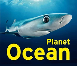 Abbildung von Schmitz | Planet Ocean | 1. Auflage | 2024 | beck-shop.de
