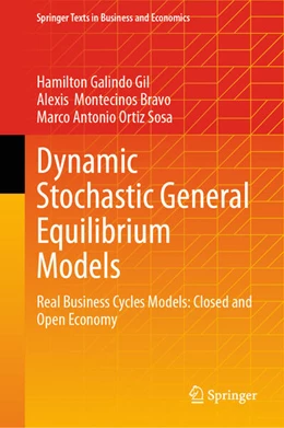 Abbildung von Galindo Gil / Montecinos Bravo | Dynamic Stochastic General Equilibrium Models | 1. Auflage | 2024 | beck-shop.de