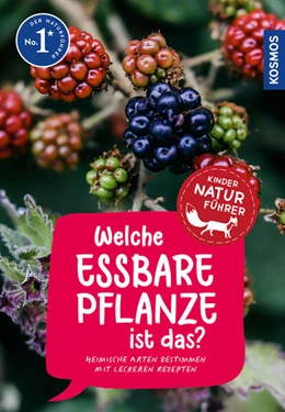 Abbildung von Hecker | Welche essbare Pflanze ist das? Kindernaturführer | 1. Auflage | 2024 | beck-shop.de