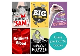 Abbildung von Alcraft / Dhami | Readerful Rise: Oxford Reading Level 7: Class Pack | 1. Auflage | 2024 | beck-shop.de