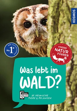 Abbildung von Haag | Was lebt im Wald? Kindernaturführer | 1. Auflage | 2024 | beck-shop.de