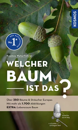 Abbildung von Spohn | Welcher Baum ist das? | 1. Auflage | 2024 | beck-shop.de