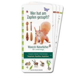 Abbildung von Wawra | Wer hat am Zapfen gezupft? - Wawra's Naturfächer für unterwegs | 1. Auflage | 2021 | beck-shop.de
