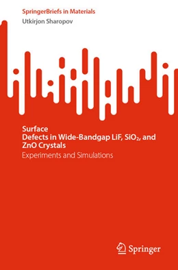 Abbildung von Sharopov | Surface Defects in Wide-Bandgap LiF, SiO2, and ZnO Crystals | 1. Auflage | 2024 | beck-shop.de