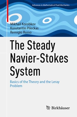 Abbildung von Korobkov / Pileckas | The Steady Navier-Stokes System | 1. Auflage | 2024 | beck-shop.de