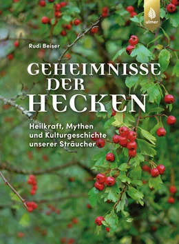 Abbildung von Beiser | Geheimnisse der Hecken | 2. Auflage | 2024 | beck-shop.de