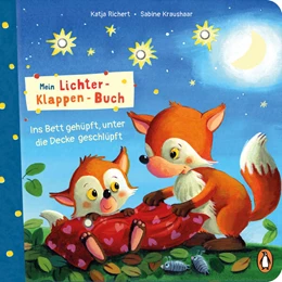 Abbildung von Richert | Mein Lichter-Klappen-Buch - Ins Bett gehüpft, unter die Decke geschlüpft | 1. Auflage | 2024 | beck-shop.de