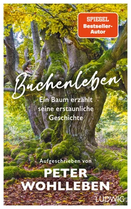 Abbildung von Wohlleben | Buchenleben | 1. Auflage | 2024 | beck-shop.de