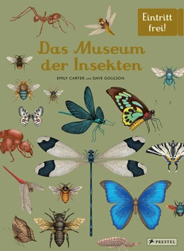 Abbildung von Goulson / Carter | Das Museum der Insekten | 1. Auflage | 2024 | beck-shop.de