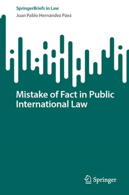 Abbildung von Hernández Páez | Mistake of Fact in Public International Law | 1. Auflage | 2024 | beck-shop.de