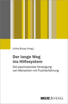 Abbildung von Brizay | Der lange Weg ins Hilfesystem | 1. Auflage | 2024 | beck-shop.de