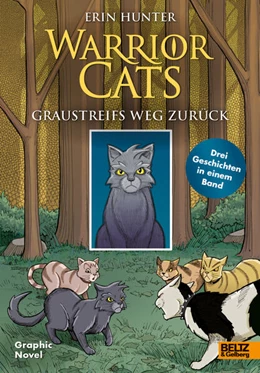Abbildung von Hunter / Jolley | Warrior Cats - Graustreifs Weg zurück | 1. Auflage | 2024 | beck-shop.de