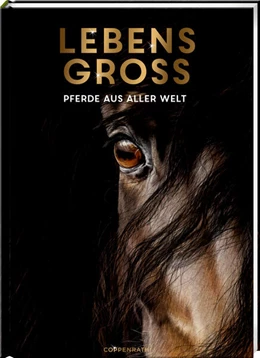 Abbildung von Niessen | Lebensgroß | 1. Auflage | 2024 | beck-shop.de