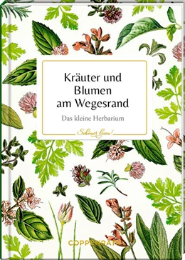 Abbildung von Kräuter und Blumen am Wegesrand | 1. Auflage | 2024 | beck-shop.de