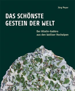Abbildung von Meyer | Das schönste Gestein der Welt | 1. Auflage | 2024 | beck-shop.de