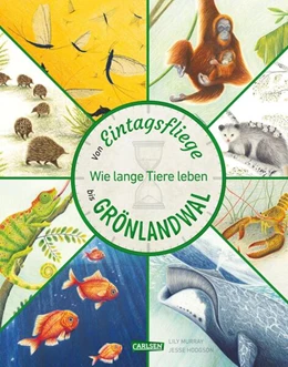 Abbildung von Murray | Von Eintagsfliege bis Grönlandwal | 1. Auflage | 2024 | beck-shop.de