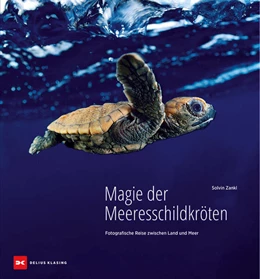 Abbildung von Striegel | Magie der Meeresschildkröten | 1. Auflage | 2024 | beck-shop.de