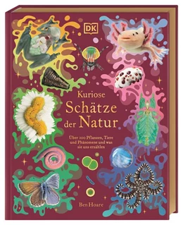 Abbildung von Hoare / DK Verlag - Kids | Kuriose Schätze der Natur | 1. Auflage | 2024 | beck-shop.de